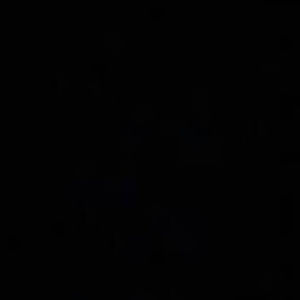 Meet your Posher, Amelia